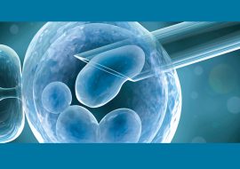 Afida Turner, Tina Turner’s daughter-in-law, intends to become pregnant using her late husband’s preserved sperm.￼￼￼￼￼￼￼