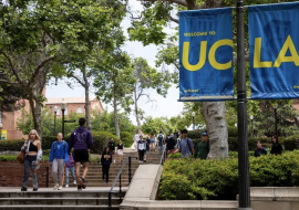 “Fat Pride” Controversy at UCLA: Staffer’s Mandatory Lectures Label ‘Obesity’ as Violence, Spark Outrage from Harvard Doctor.